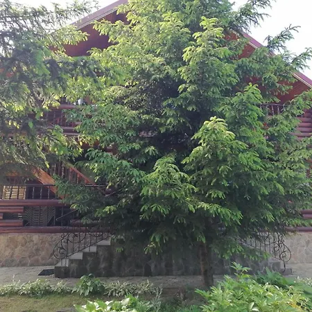 панна катерина *