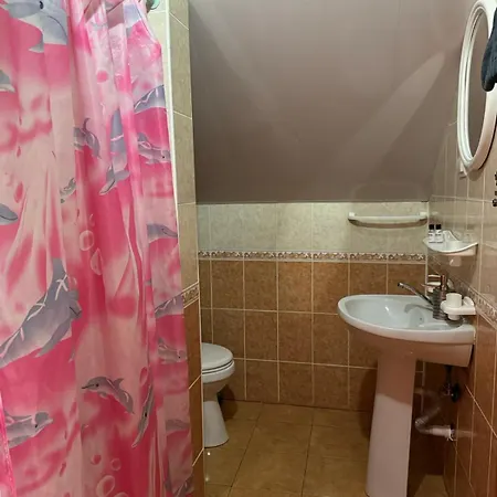 Venkovský dům панна катерина Soločin