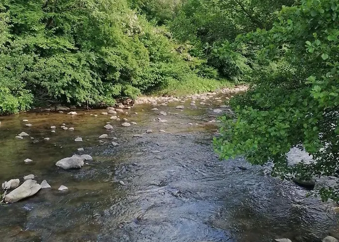 панна катерина